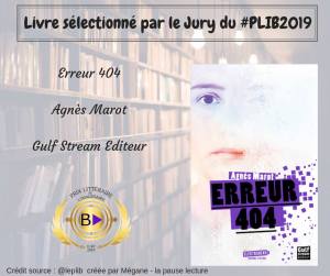 PLIB2019 - Erreur 404 - Agnès Marot